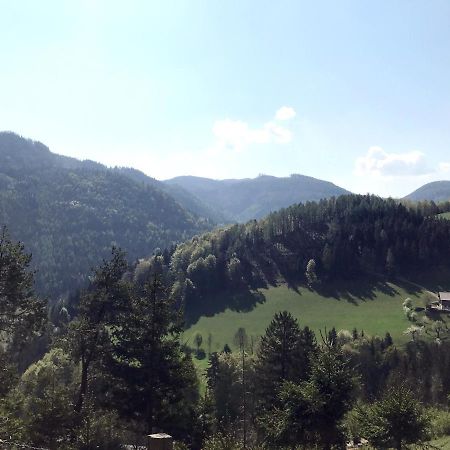 Waldblick Landhaus B&B Schwarzenbach an der Pielach 외부 사진