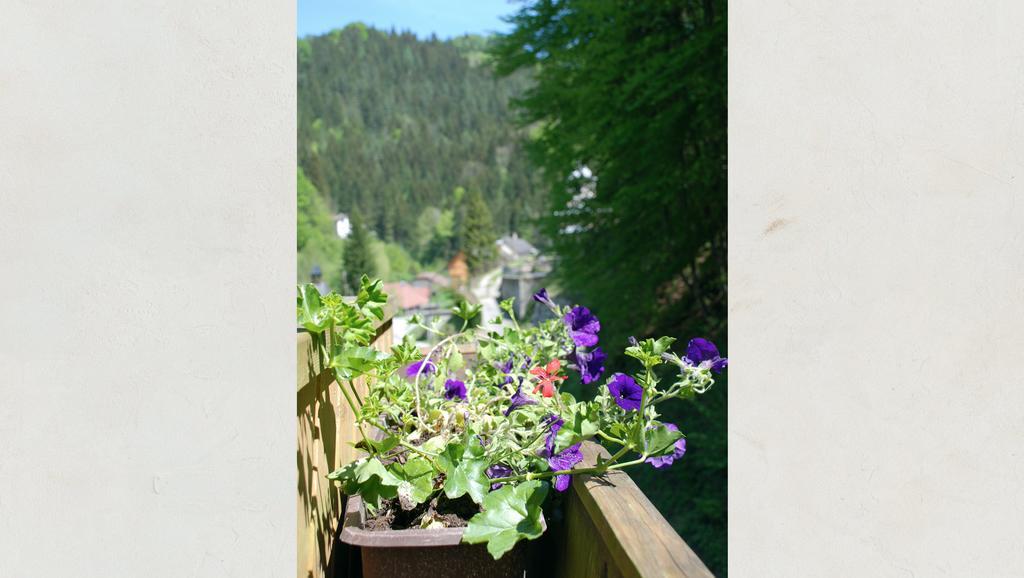 Waldblick Landhaus B&B Schwarzenbach an der Pielach 외부 사진